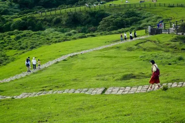 絕美陽明山擎天崗，天氣好時一定要來！