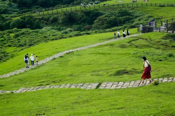 絕美陽明山擎天崗，天氣好時一定要來！