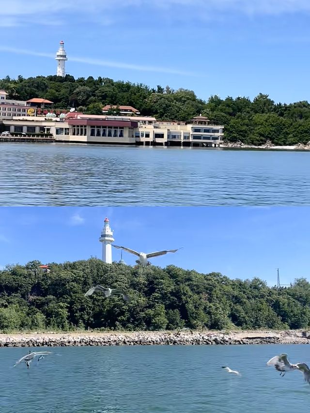 淡季去煙台，真係贏麻咗喇