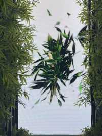 Shanghai｜Must visit exhibition of GUCCI in Shanghai 