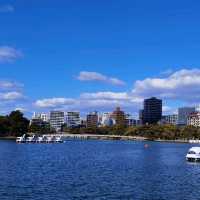 福岡行程：太宰府探古，大濠公園賞景