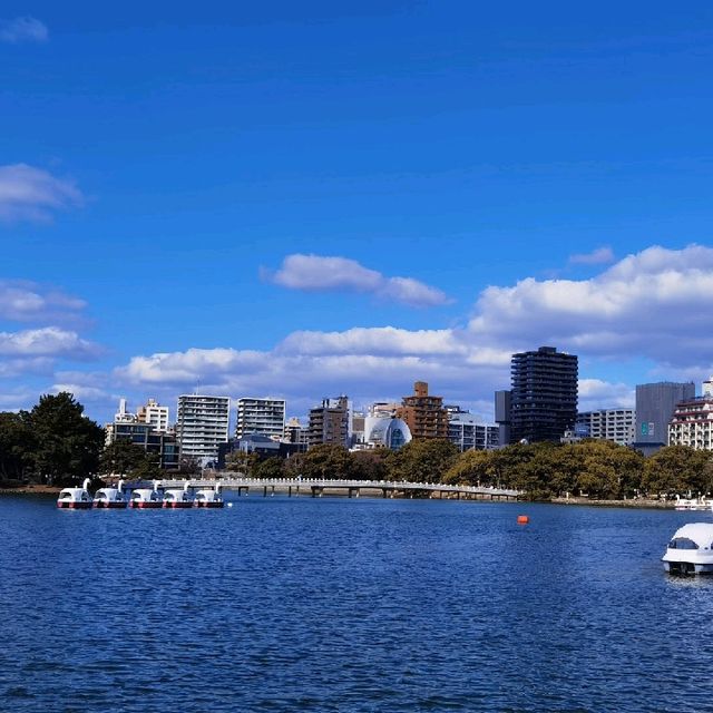 福岡行程：太宰府探古，大濠公園賞景