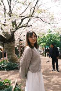 東京千鳥之淵賞櫻之旅