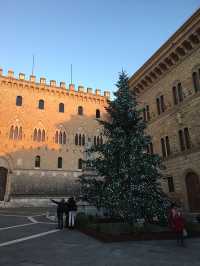 🇮🇹錫耶納「薩里奔尼宮」