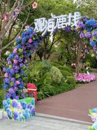 🌷珠海新貌 | 治愈系花海棧道，美翻啦🌸