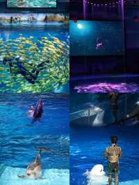 大連旅遊攻略：山海相連的多元體驗之旅