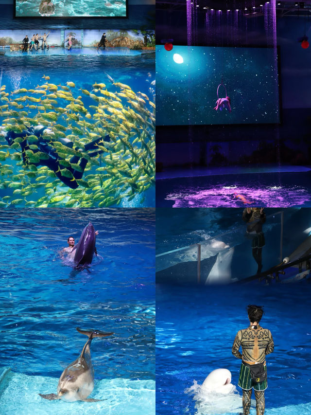 大連旅遊攻略：山海相連的多元體驗之旅