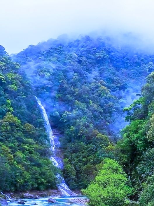 福建武夷山慳錢旅遊及避坑攻略