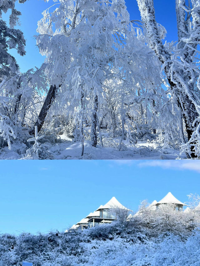 冰雪奇境·人間仙境·美到窒息——王崗坪