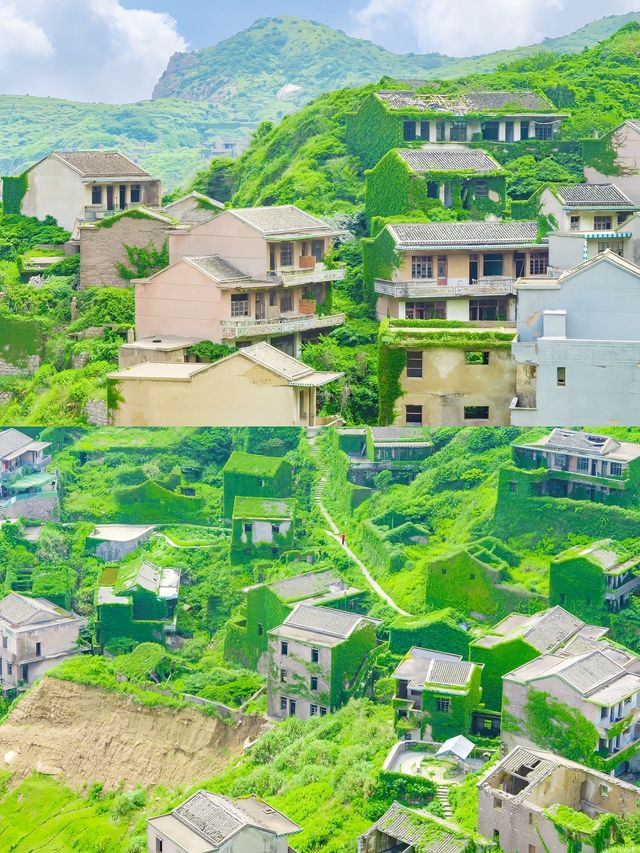 上海周邊！五月的嵊泗島美到我走不動道