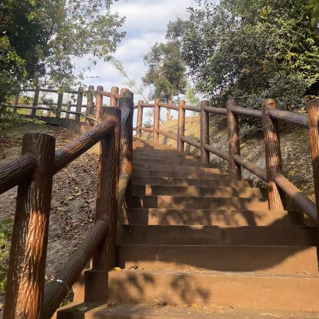 中山曹邊村｜狀元路，10分鐘竹林秘境🌳治愈解壓天花板