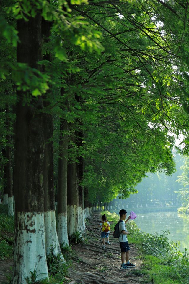 我的城市公園徒步天花板城市裡的綠野仙蹤 我的城市公園徒步天花板城市裡的綠野仙蹤