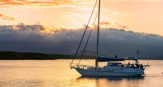 Port Douglas | Rainforest and Ocean Adventures at the Gateway to the Great Barrier Reef