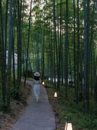 山野初夏，清涼竹海的悠然時光