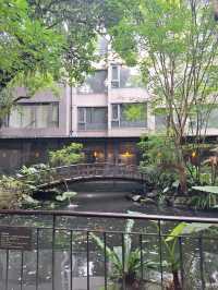 台北週邊🌿大板根森林溫泉渡假村探秘