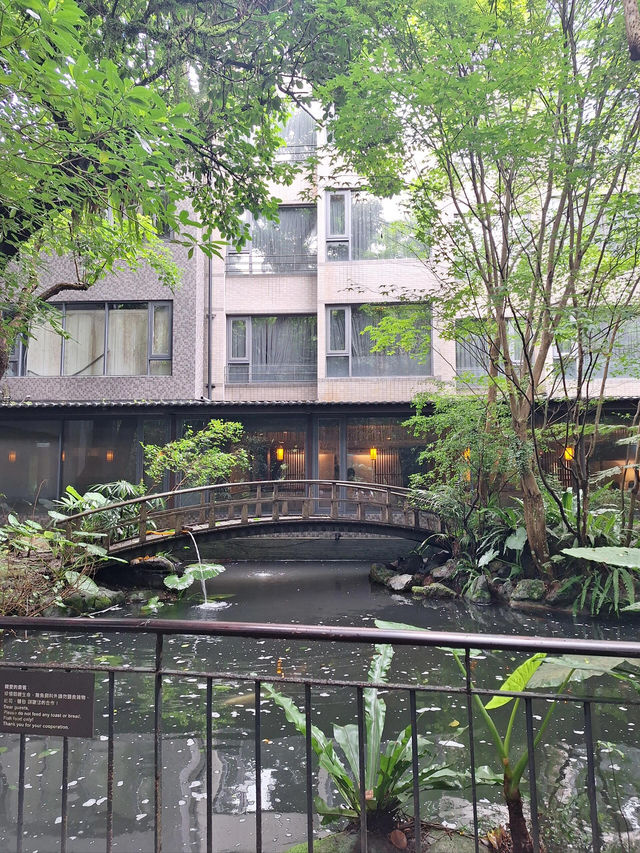 台北週邊🌿大板根森林溫泉渡假村探秘