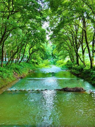 Hidden Gem of Southern Anhui, a Must-Visit!