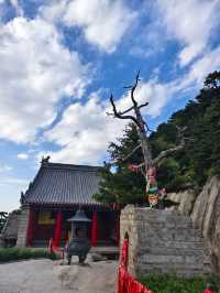 2025年6月5日下午半日華山五峰飛