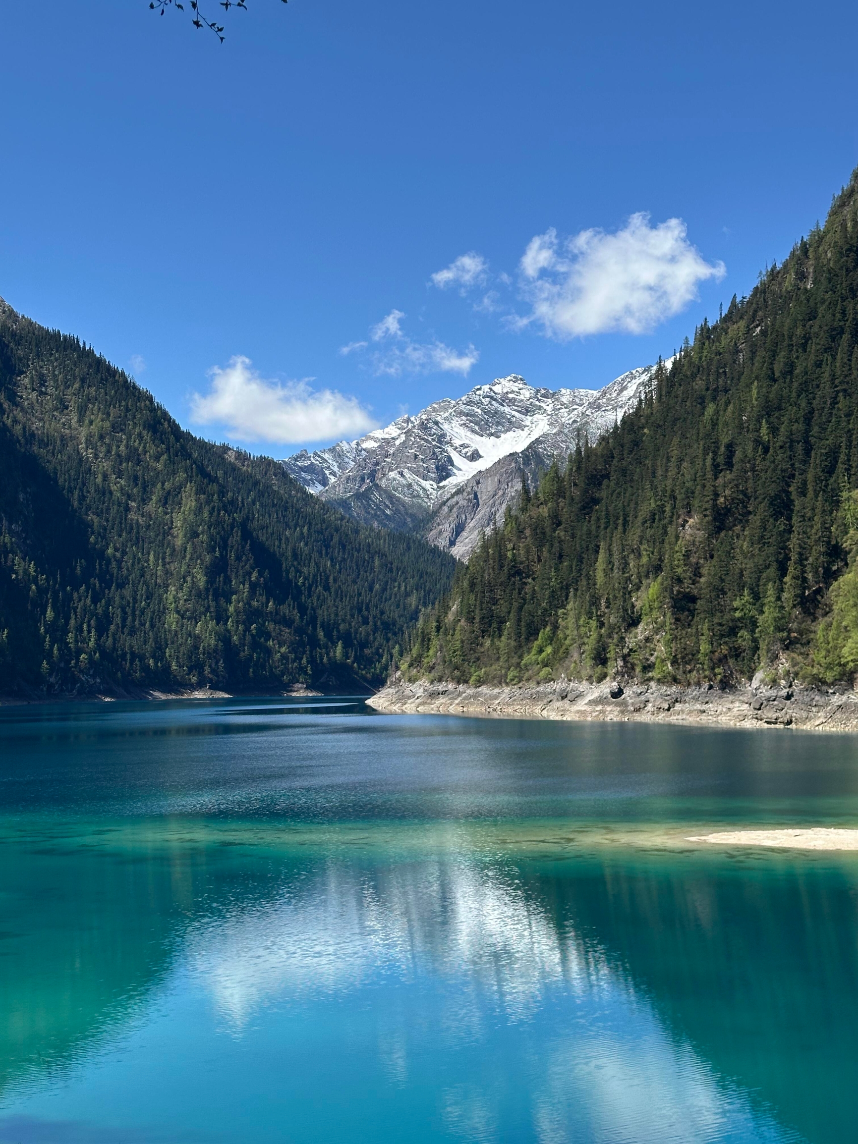 virtual trip CHINA 九寨溝 JIU ZHAI GOU [Blu 九寨沟的水,蓝得让人心动; 九寨沟的山,绿得让人沉醉Every frame