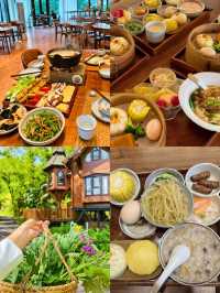 隱居鄉里·酒神灣 | 山林間的童話樹屋