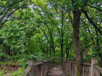 延吉帽兒山森林公園景區