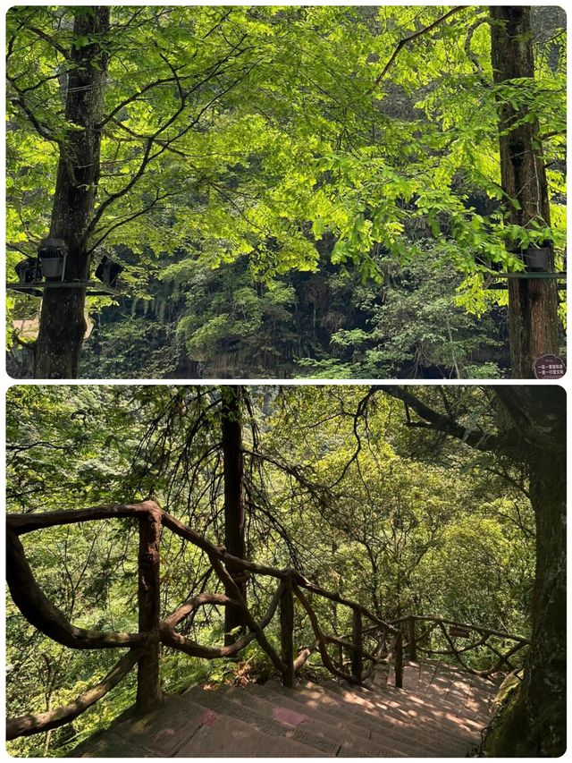 重慶周邊遊天花板！住進懸崖睇銀河瀑布