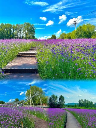 Heilongjiang Jiamusi | Visiting in the off-season from June to July is truly delightful, fewer people and beautiful scenery