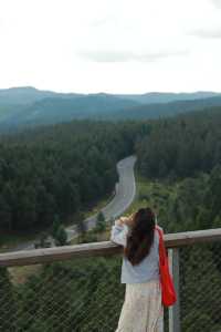 含淚強推仙女山一日遊小眾又治癒