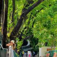 香港動植物公園！呢個冷門公園火烈鳥喺陽光下靚到令人窒息