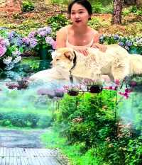 奔向六月揚州，邂逅限定版嘅美好與愜意