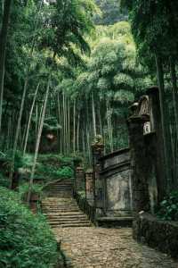 七八月嘅莫干山，係23℃嘅綠野仙蹤。