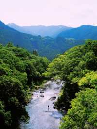 *【東京の静寂を求めて　玉堂美術館の枯山水に癒される】**  