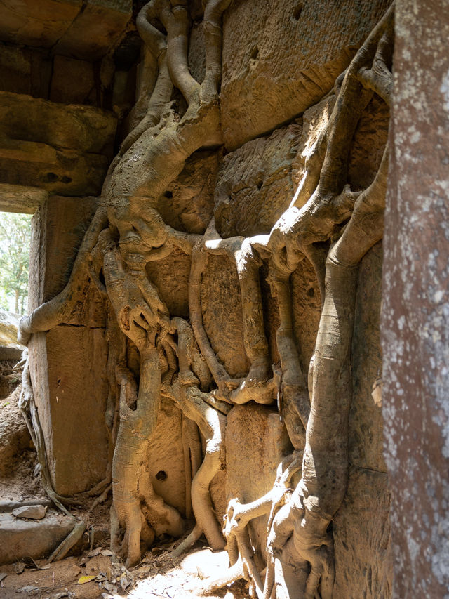 柬泰邊境嘅天空聖殿柏威夏寺