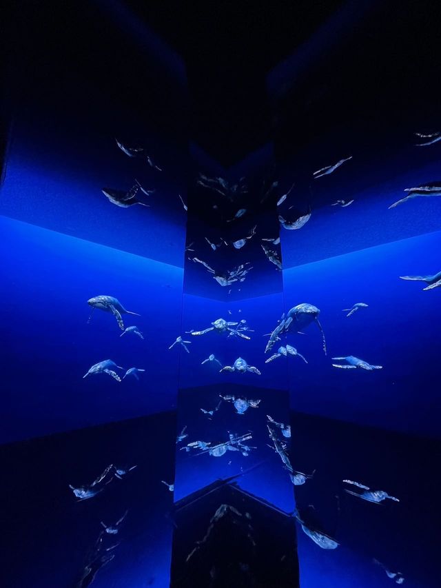 武漢夢幻地｜墜入深海夢境
