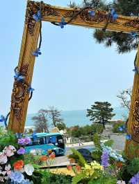 嶗山腳下的法式浪漫｜季序民宿攜寵度假記