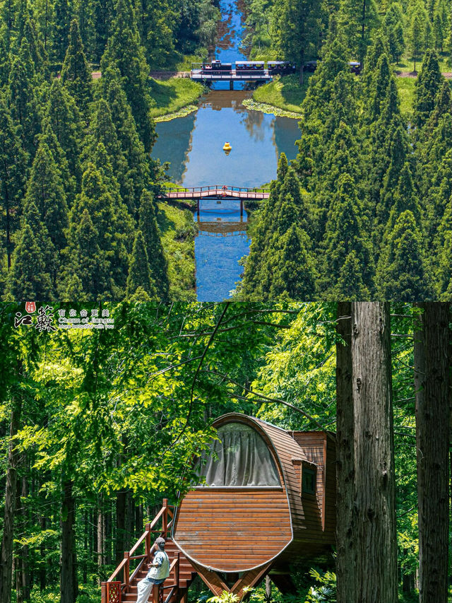世界自然遺產鹽城黃海濕地落潮留痕沙洲如畫鹽城黃海濕地的