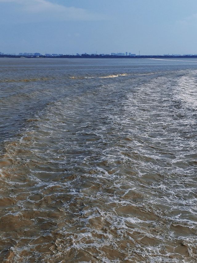 浙江海寧旅遊美食全攻略