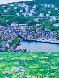 上海邊嘅花鳥島，暑假避暑嘅世外桃源