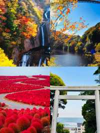 日本茨城｜藏喺東京近郊嘅夢幻花海，早春就應該咁粉紅