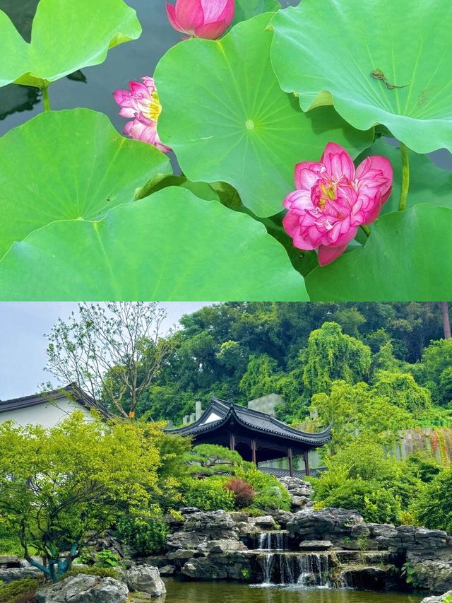 打卡紹興冬悅里！開啟江南水鄉的奇妙