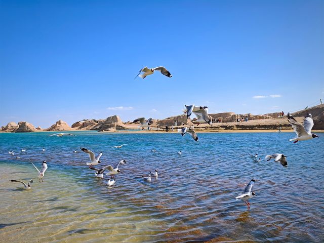 #青海水上雅丹夏天有幾靚 #水上雅丹暢玩季解鎖N種型爆玩法  西北暴走！水上雅丹2日1夜硬核攻略