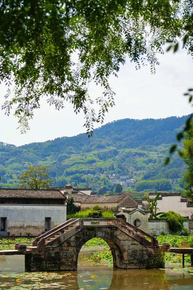迷失在呈坎：一座按《易經》建造嘅徽州千年八卦村！