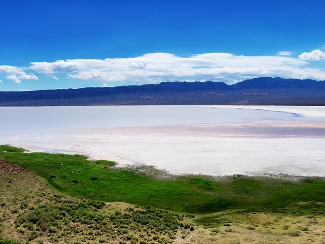 七月探索烏魯木齊鹽湖景區：鹽海之上的夢幻奇景   七月，陽光熾熱，烏魯木齊鹽湖景區宛如一顆璀璨嘅明