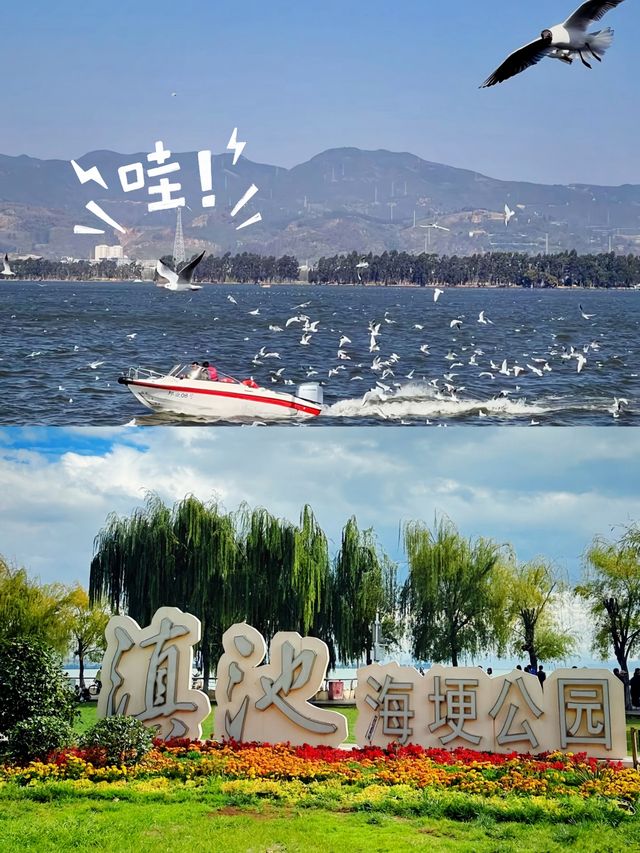 女大學生嘅最美旅行昆明.滇池衝啊氛圍感嘎嘎
