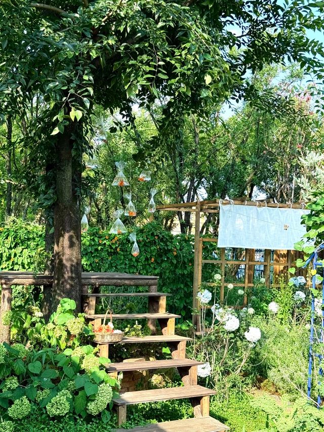 【昆明斗南新晉秘密花園|闖入莫奈油畫世界】 【昆明斗南新晉秘密花園|闖入莫奈油畫世界】