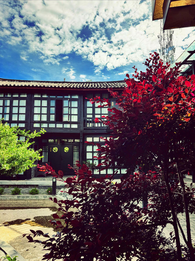 在束河古鎮挖到寶藏民宿，會呼吸的絕美庭院！