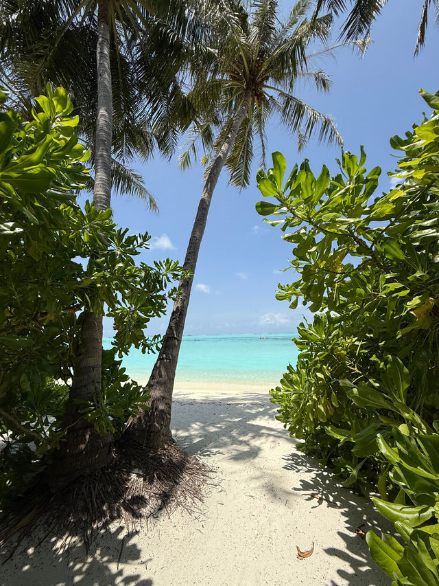 Unforgettable Beach Experience