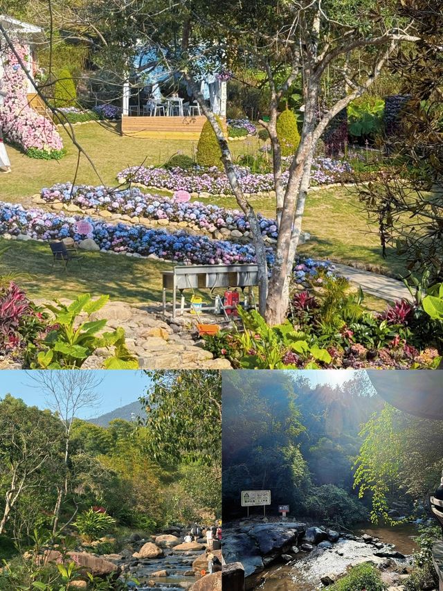 廈門天竺山徒步!闖進綠野仙蹤畫卷 廈門天竺山徒步!闖進綠野仙蹤畫卷