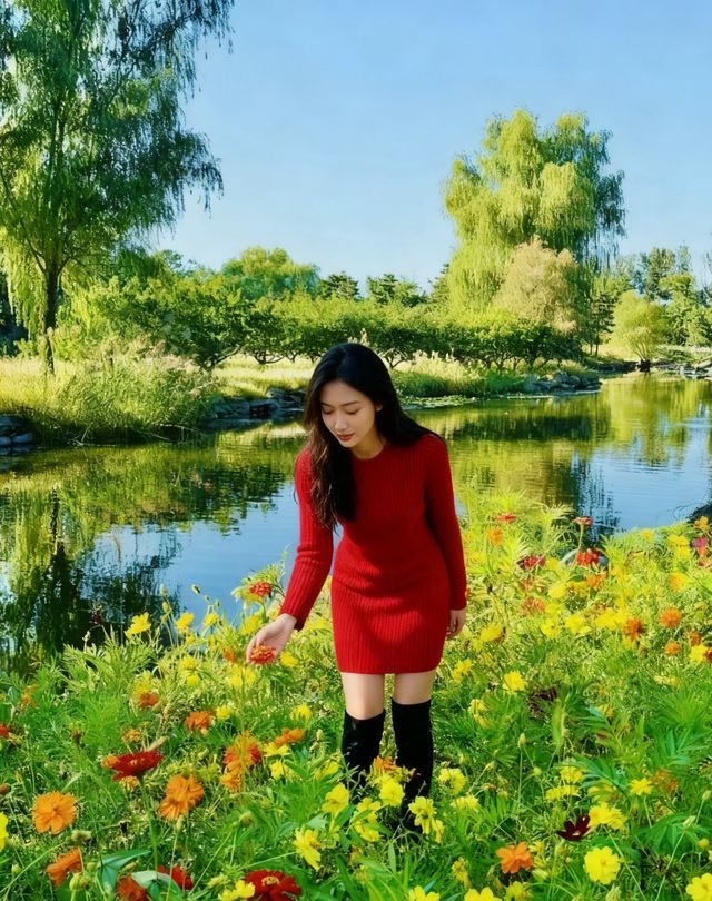 圓明園花海暴擊！一不小心闖進莫奈油畫世界