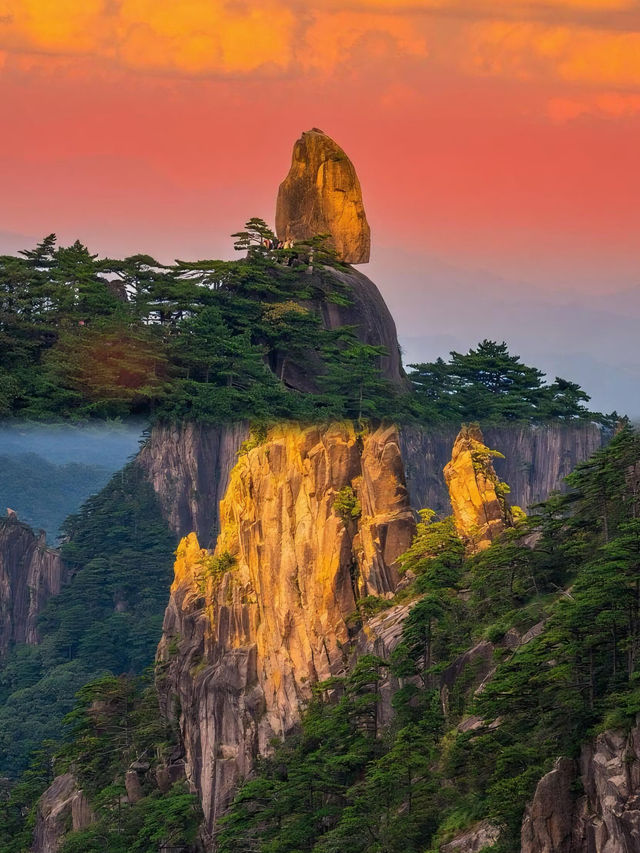 美哭了！秋日黃山錯過又等一年！